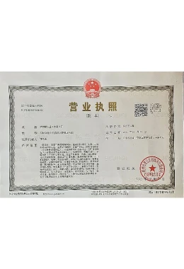 Honors and Qualifications