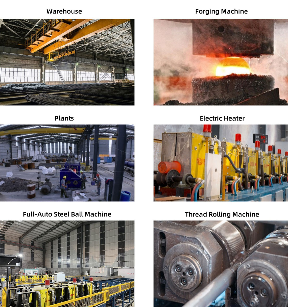 Plantas y Equipos de Producción
